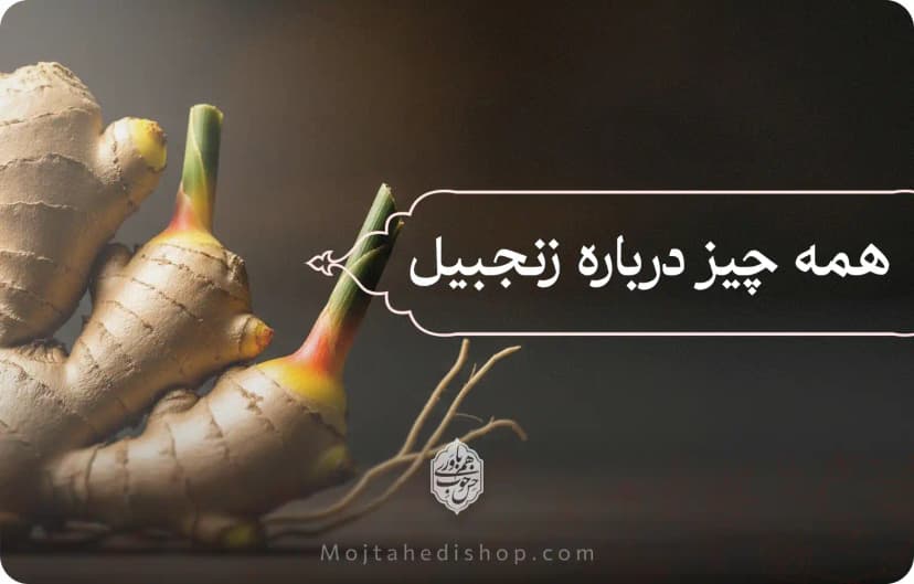 همه چیز درباره زنجبیل: از فواید تا پرورش آن در خانه