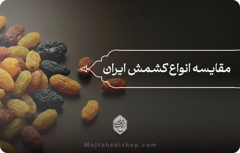 مقایسه انواع کشمش ایران، تفاوت کاربرد، خواص، نحوه تولید و نگهداری