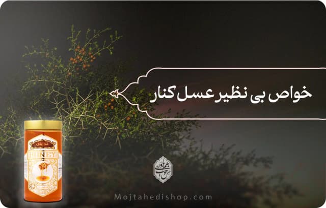 عسل کنار چیست | خواص عسل کنار طبیعی برای زنان و مردان
