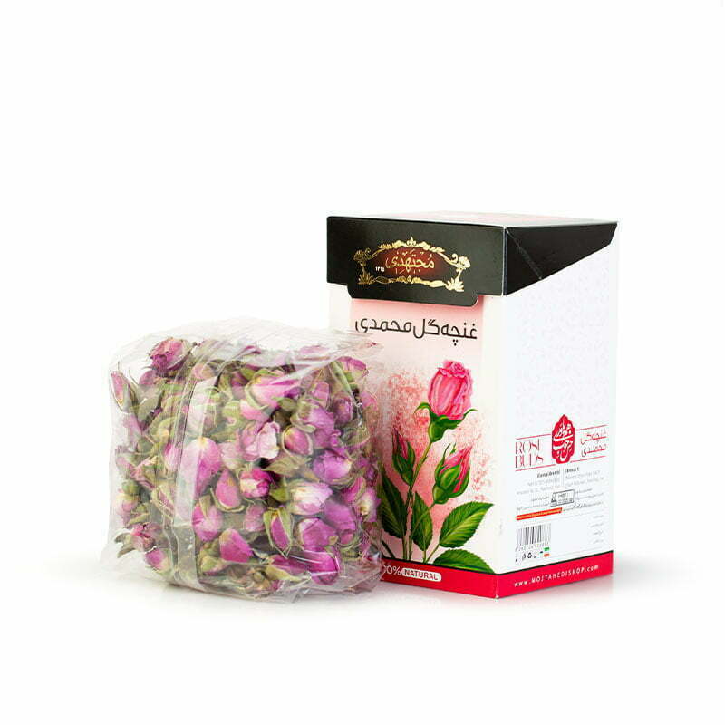 غنچه گل محمدی مجتهدی