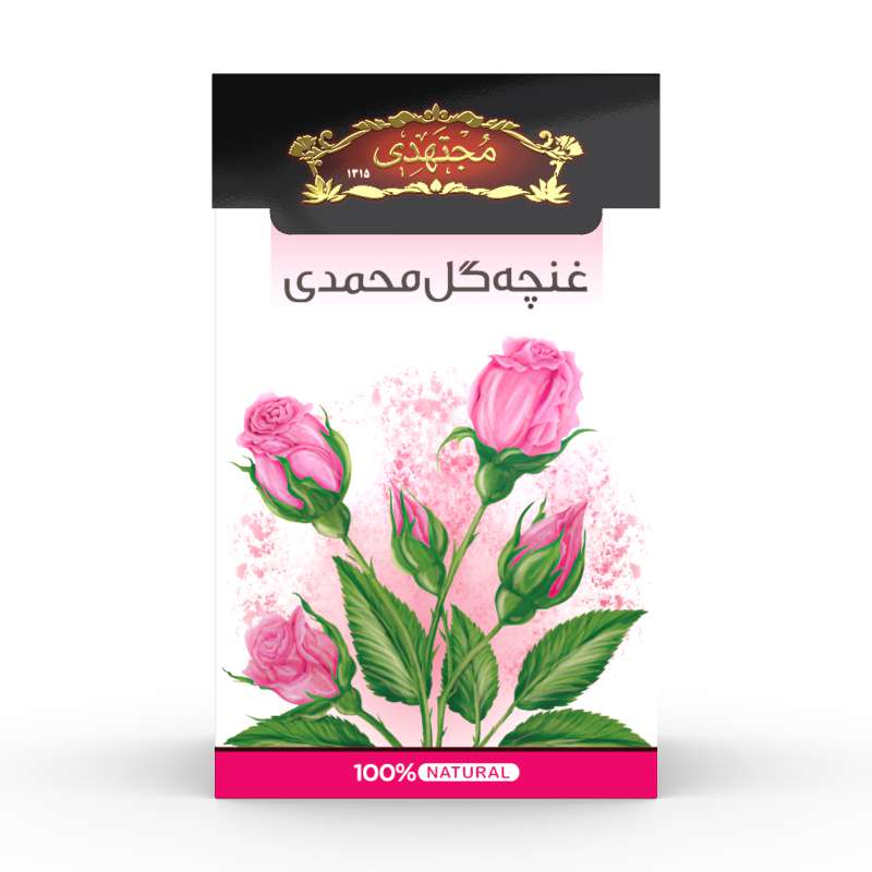 غنچه گل محمدی مجتهدی