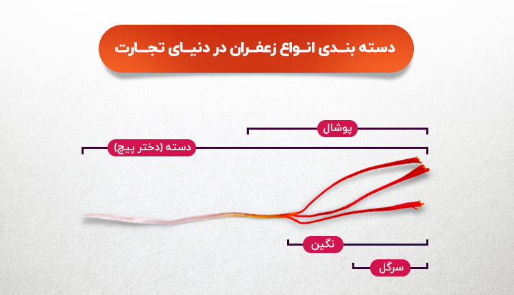 انواع زعفران - زعفران مجتهدی